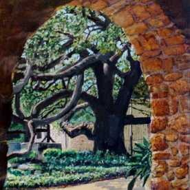 The Alamo Oak, San Antonio
