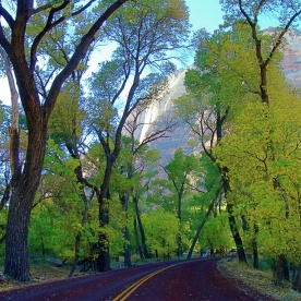 Zion NP Road